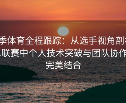 四季体育全程跟踪：从选手视角剖析LPL联赛中个人技术突破与团队协作的完美结合